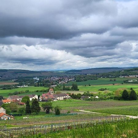 Le Coq De Champagne Villa Dormans Dış mekan fotoğraf