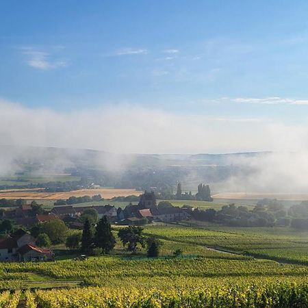 Le Coq De Champagne Villa Dormans Dış mekan fotoğraf