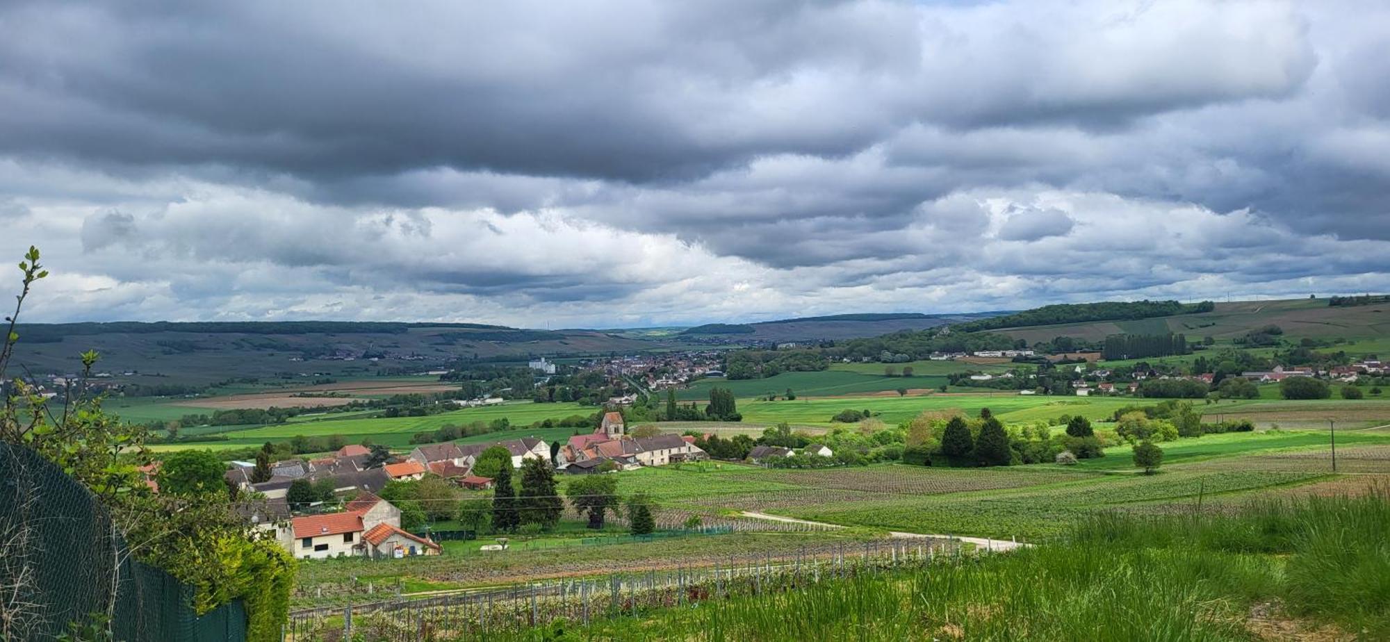 Le Coq De Champagne Villa Dormans Dış mekan fotoğraf