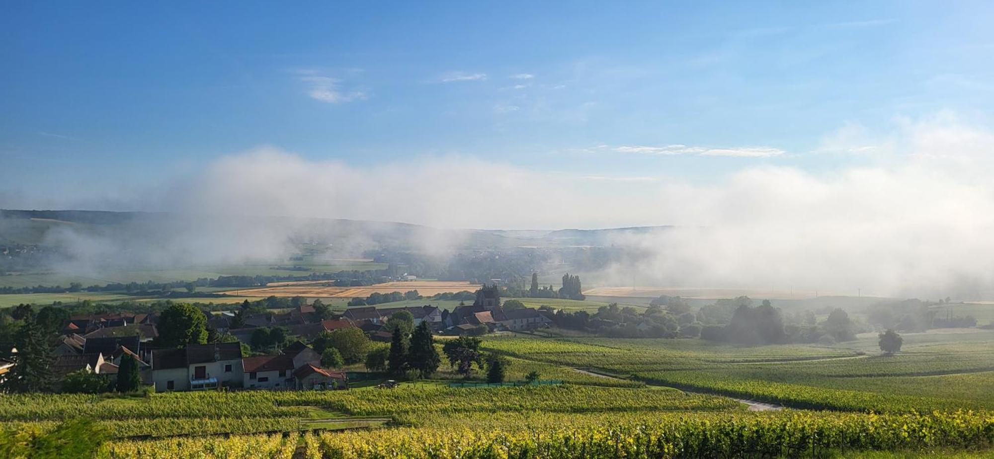 Le Coq De Champagne Villa Dormans Dış mekan fotoğraf